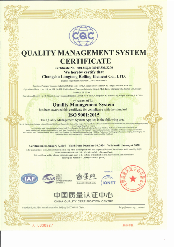 2024龙腾滚动体ISO9001质量管理体系证书-有效期2028.01.06-中英文国际互认6张_02.png